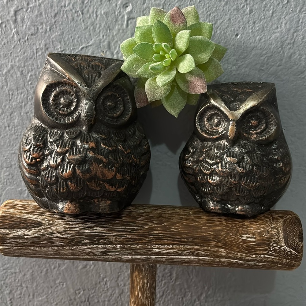 Owl Statue Paper Weights- Bronze -Unable to bundle due to their weight.